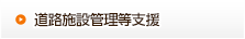 道路施設管理等支援