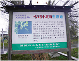 東根市のイバラトミヨ生息地の写真01